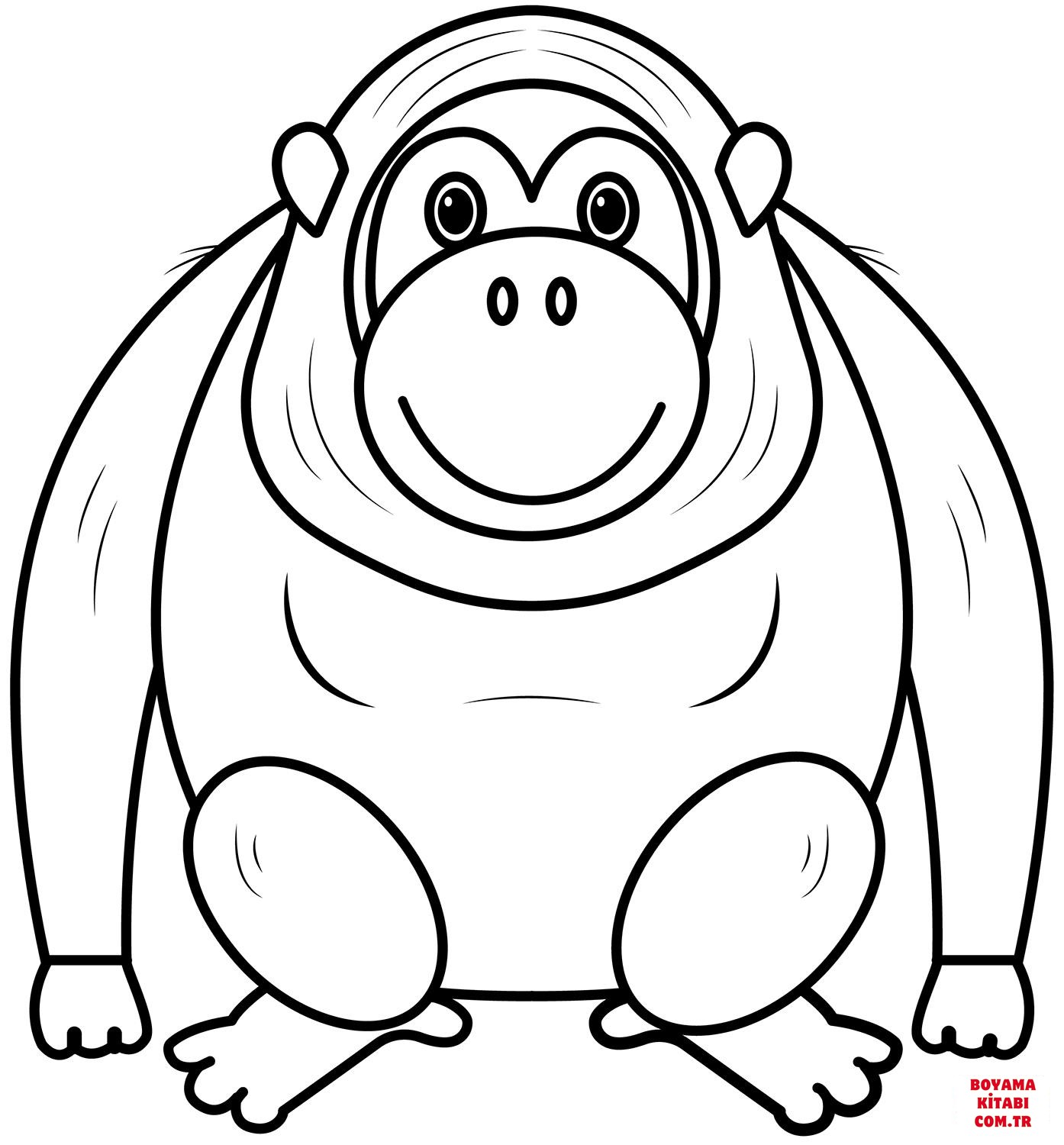 Orangutan