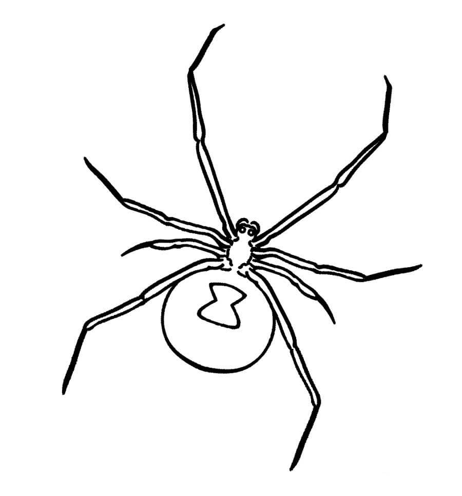 Örümcek