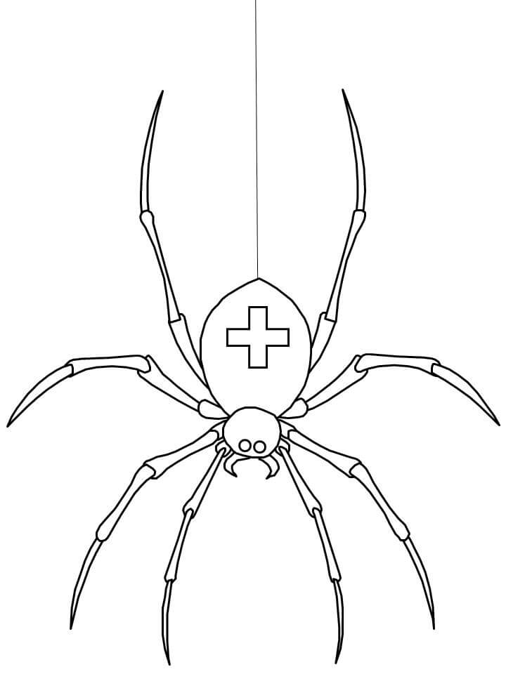 Örümcek