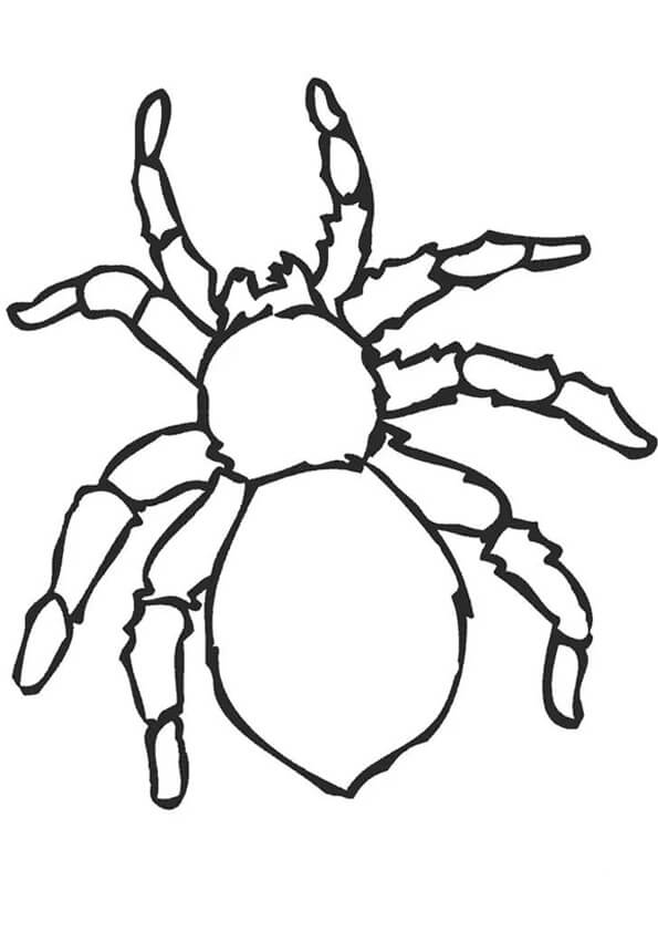 Örümcek