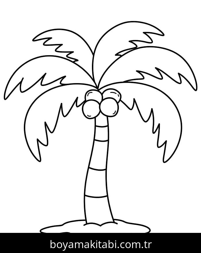 Palmiye Ağacı