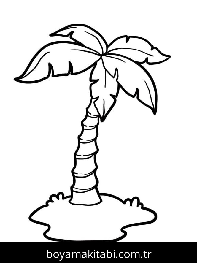 Palmiye Ağacı