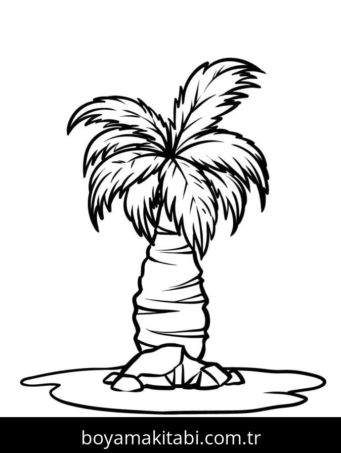 Palmiye Ağacı