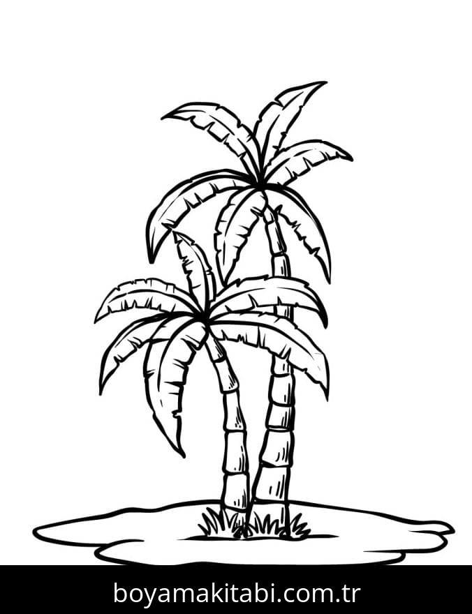 Palmiye Ağacı