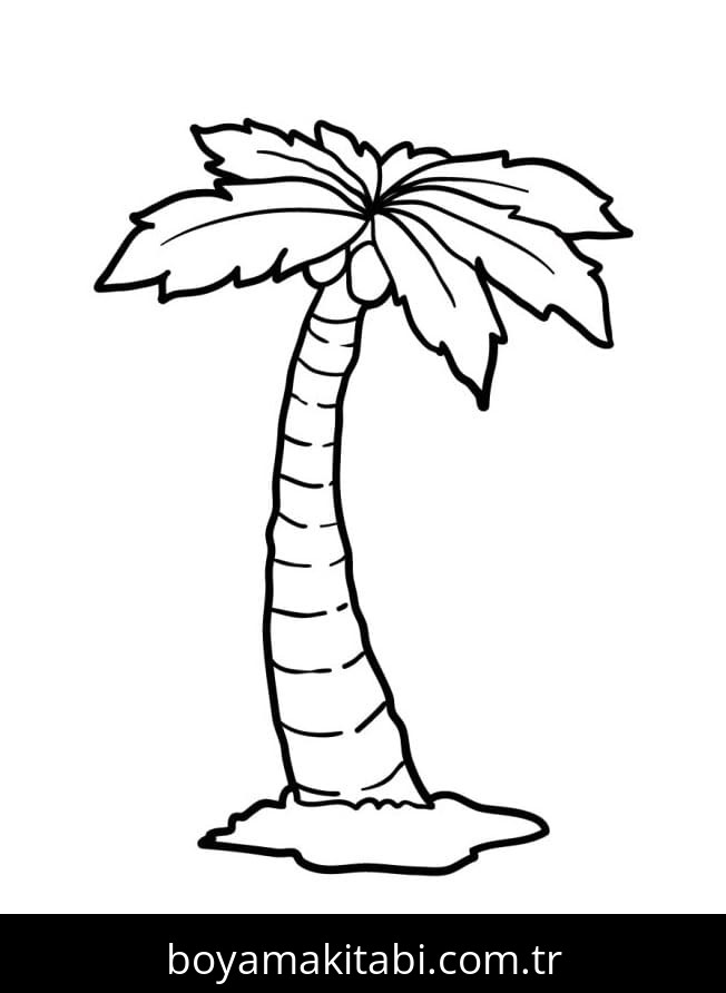 Palmiye Ağacı