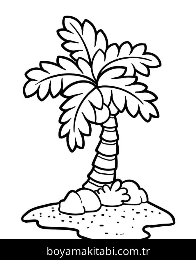 Palmiye Ağacı