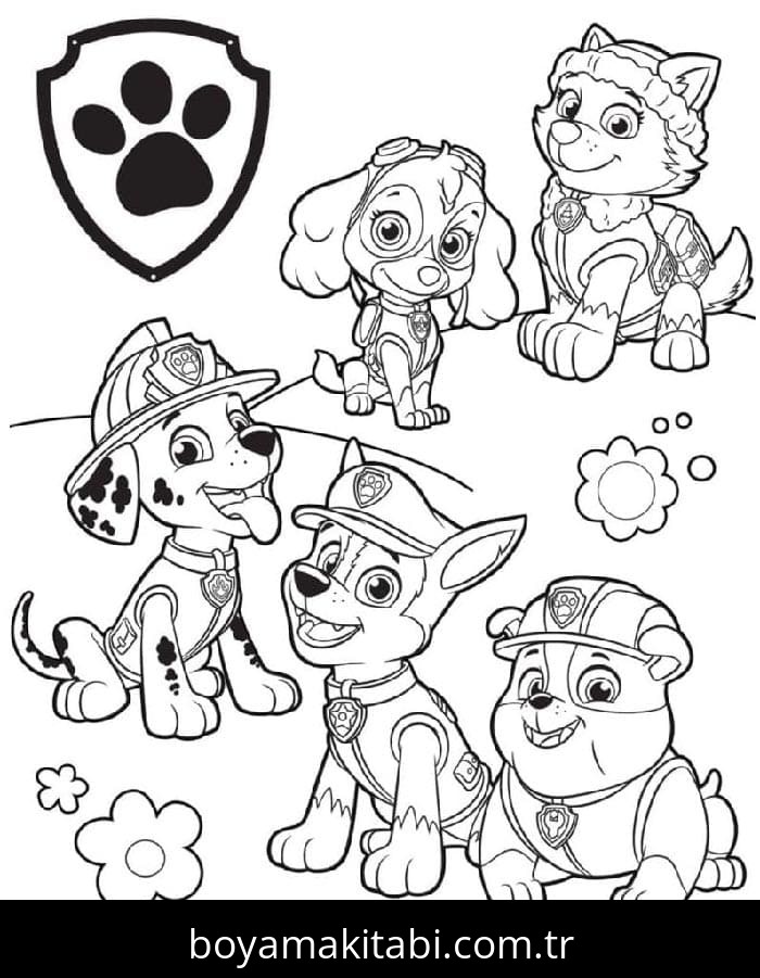 Paw Patrol