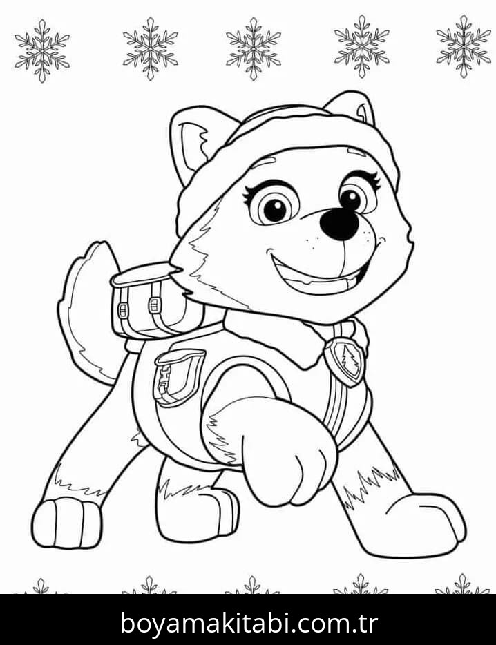 Paw Patrol