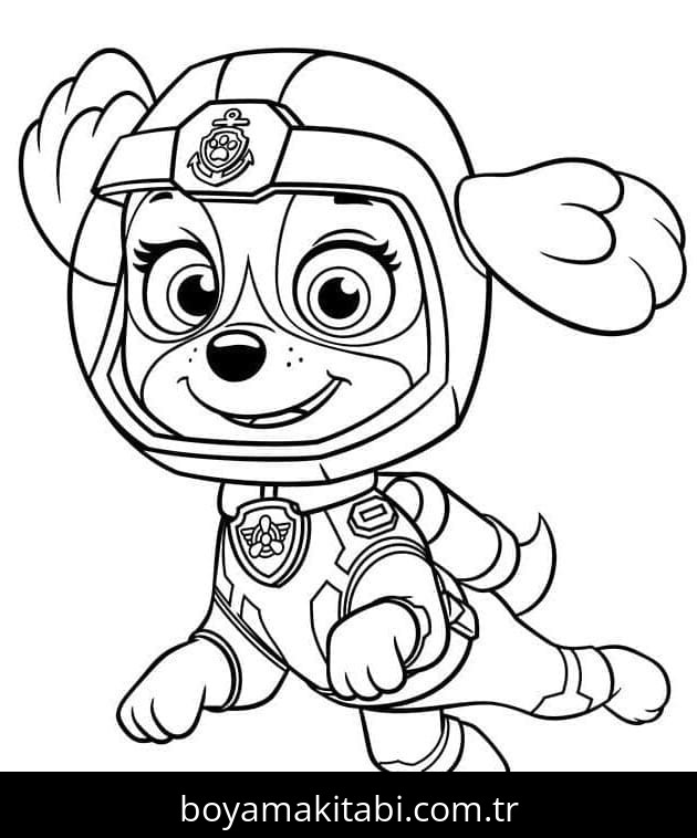 Paw Patrol