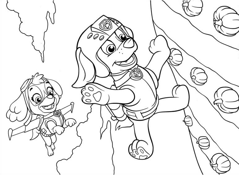 Paw Patrol