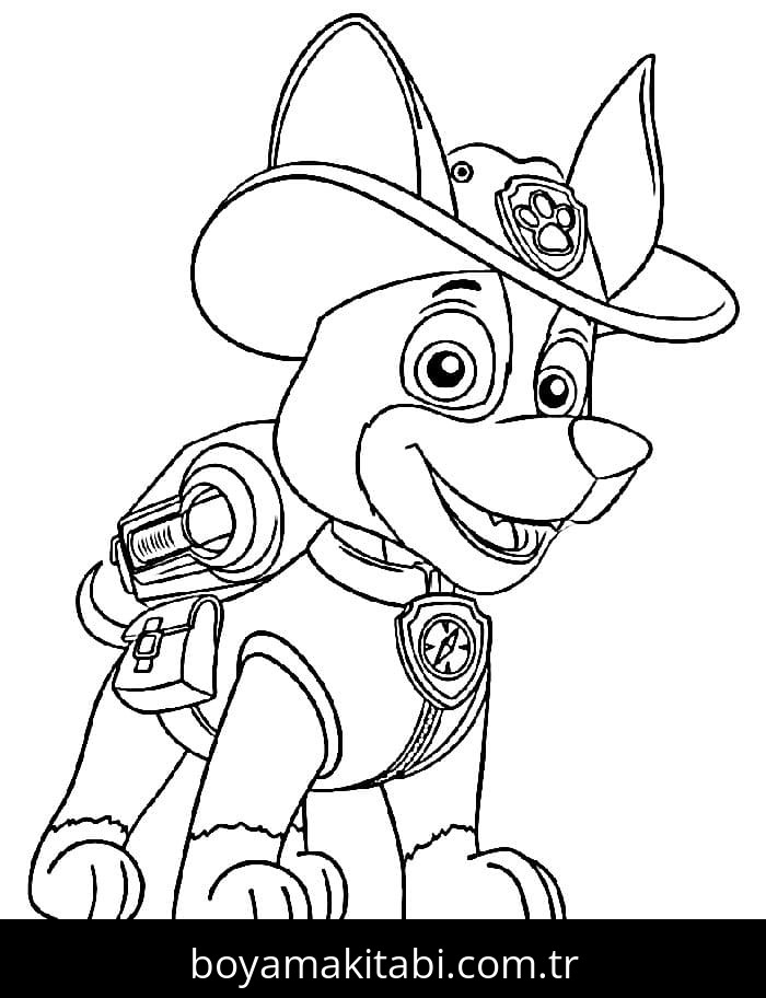 Paw Patrol