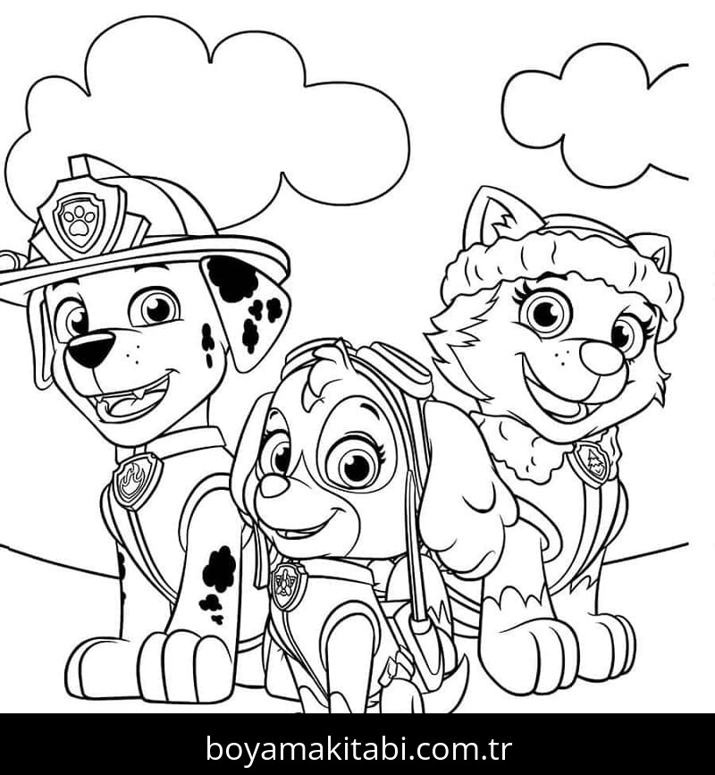Paw Patrol
