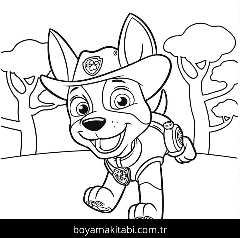 Paw Patrol