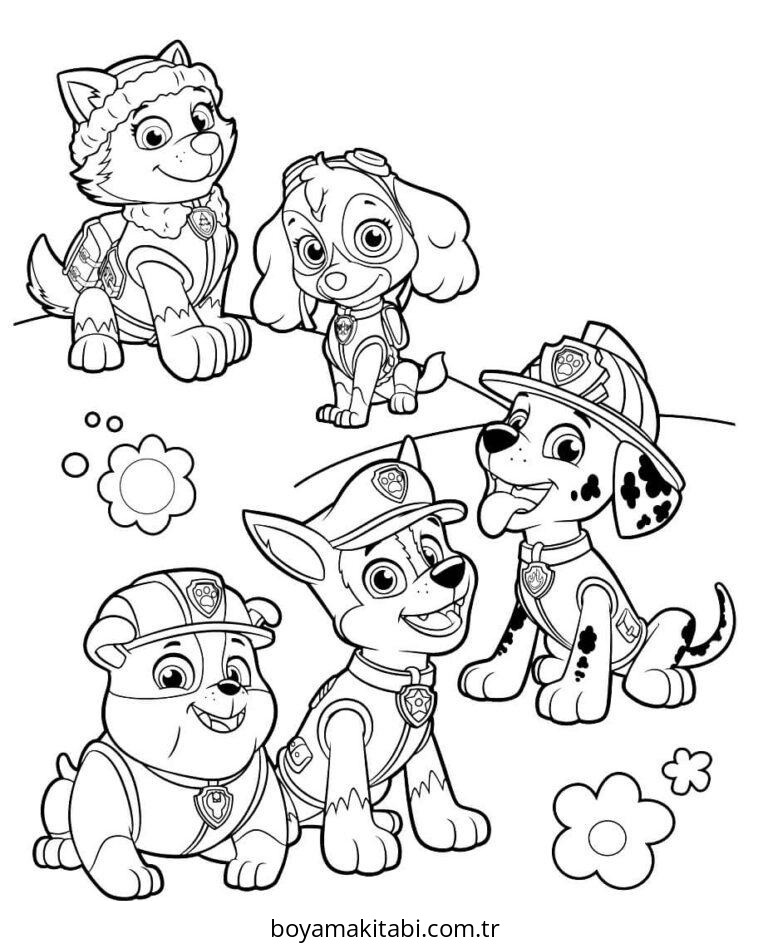 Paw Patrol
