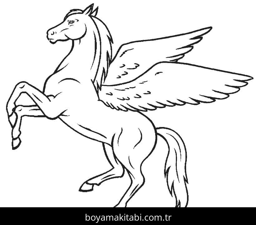 Pegasus