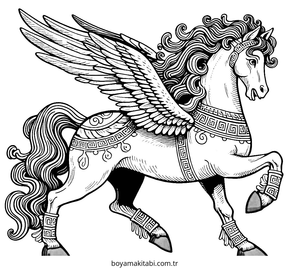 Pegasus