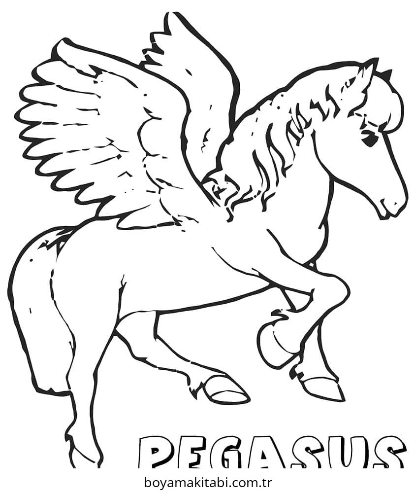 Pegasus