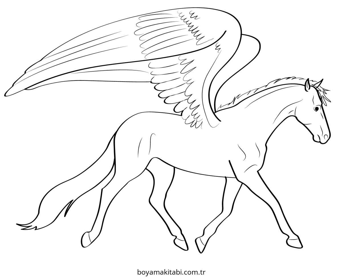 Pegasus