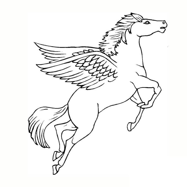 Pegasus