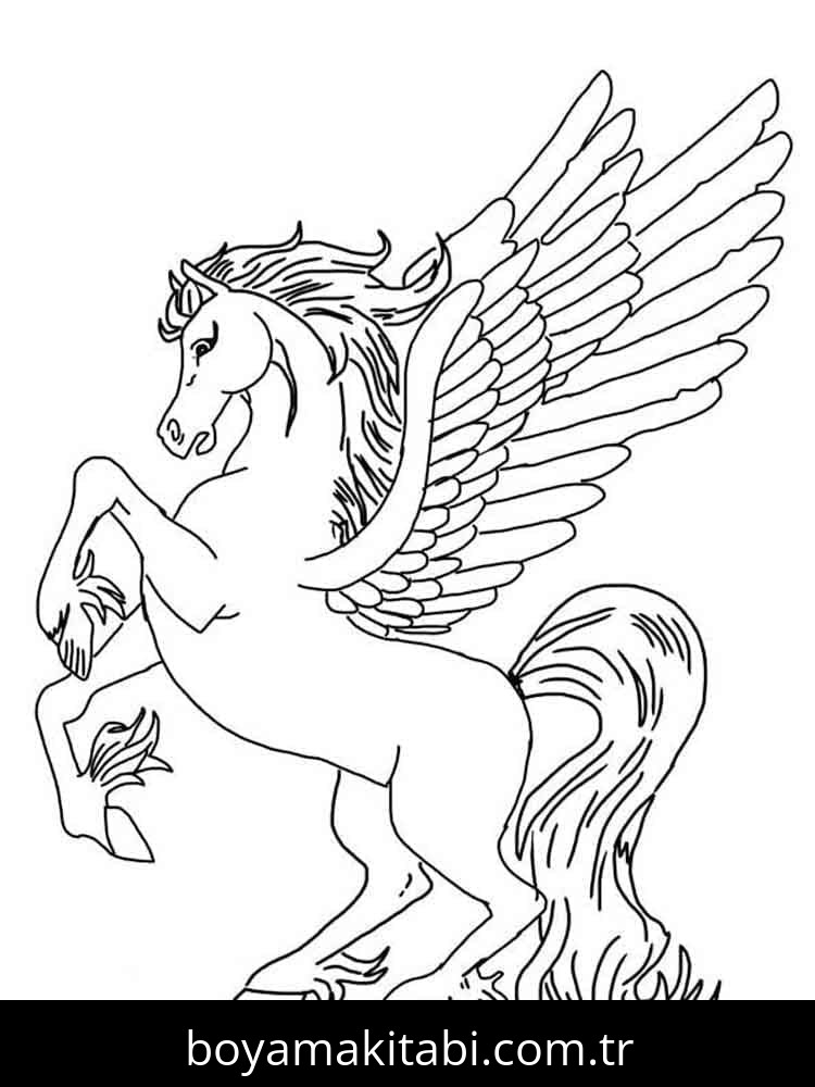 Pegasus
