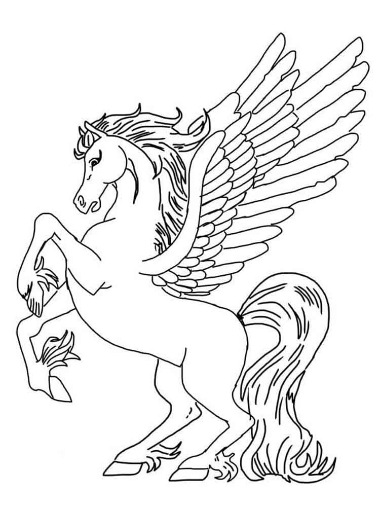 Pegasus