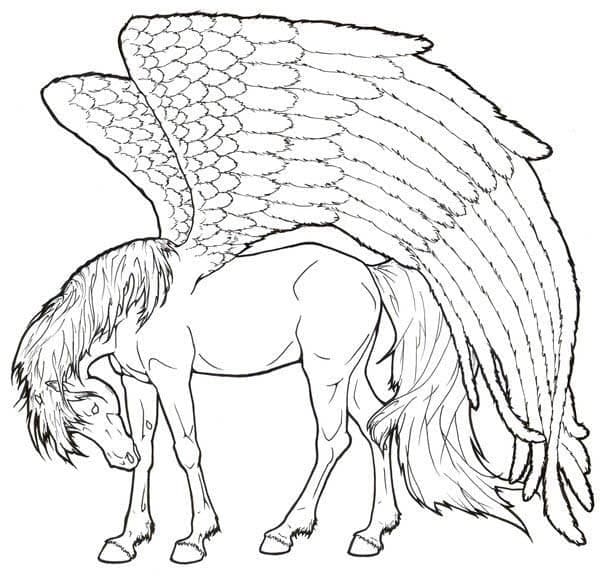 Pegasus