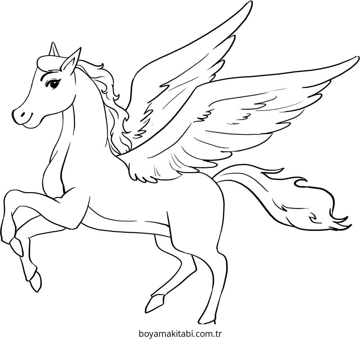 Pegasus