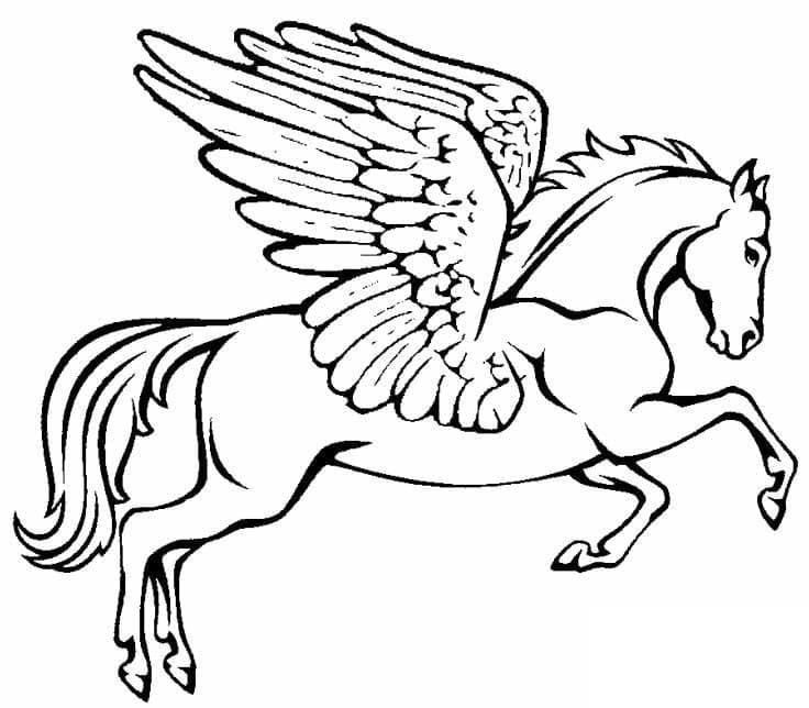 Pegasus