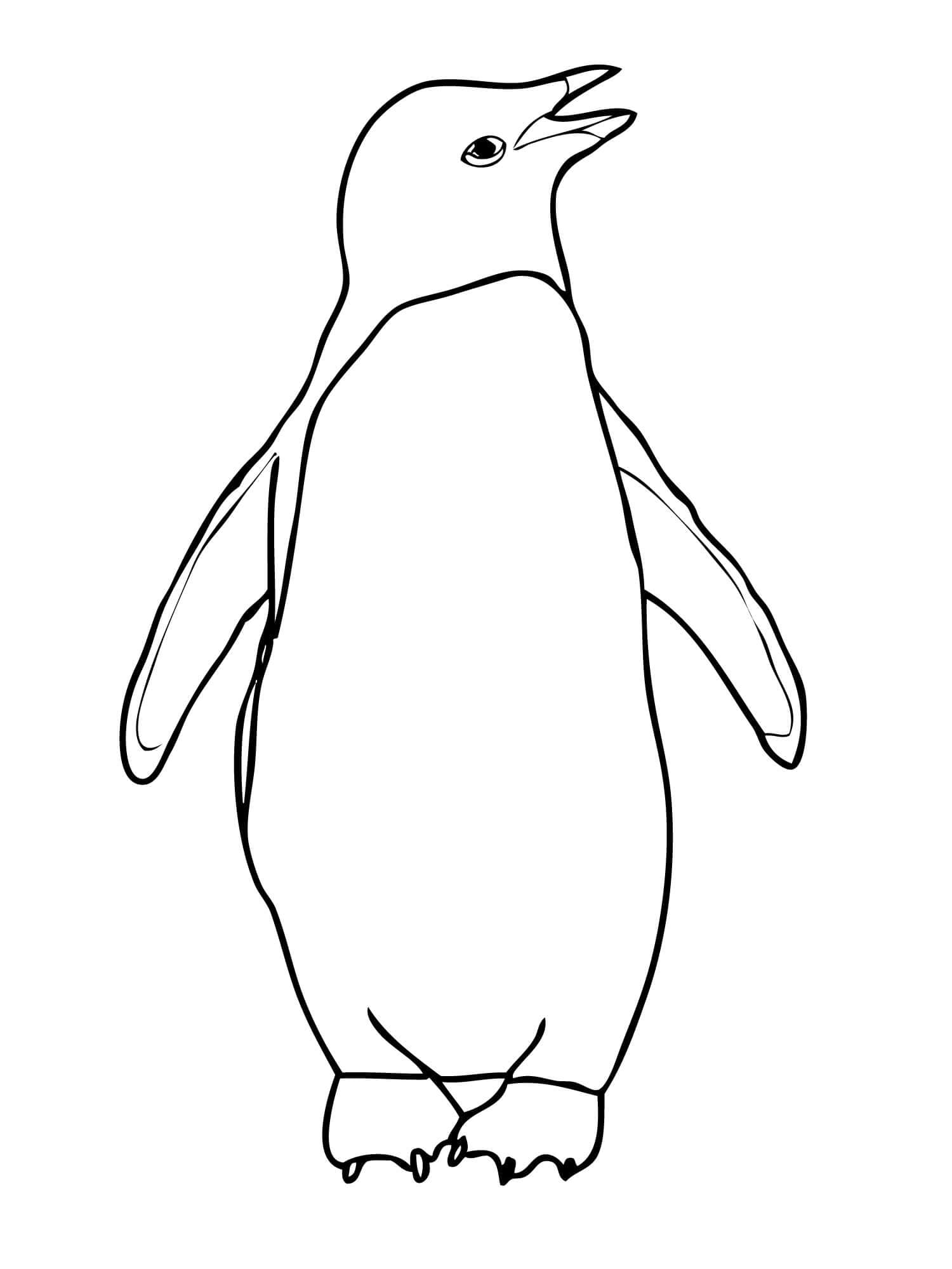 Penguenler