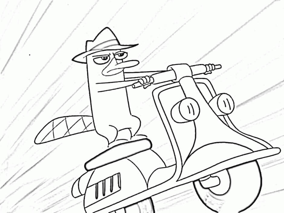 Perry