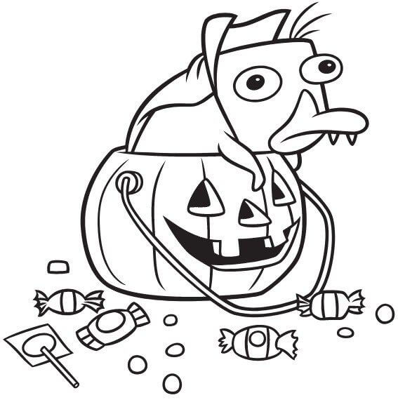 Perry