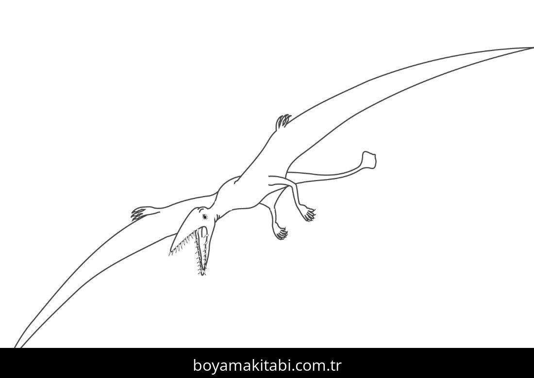 Pterodactyl Dinazor