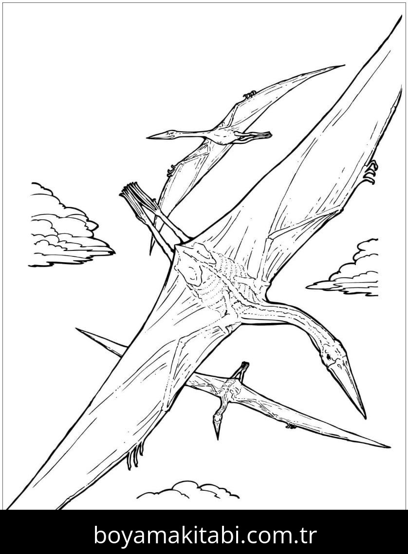 Pterodactyl Dinazor