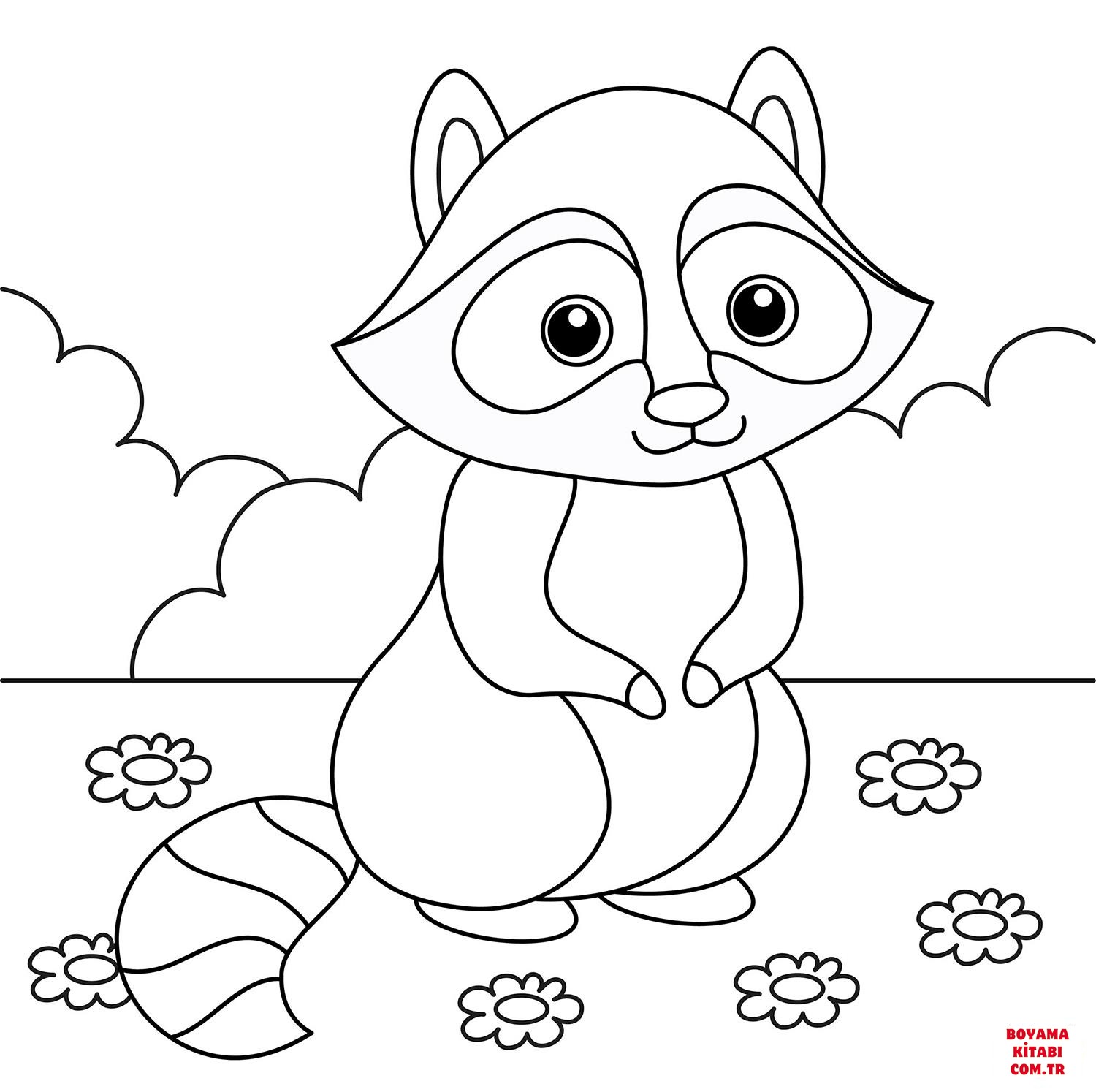 Rakun
