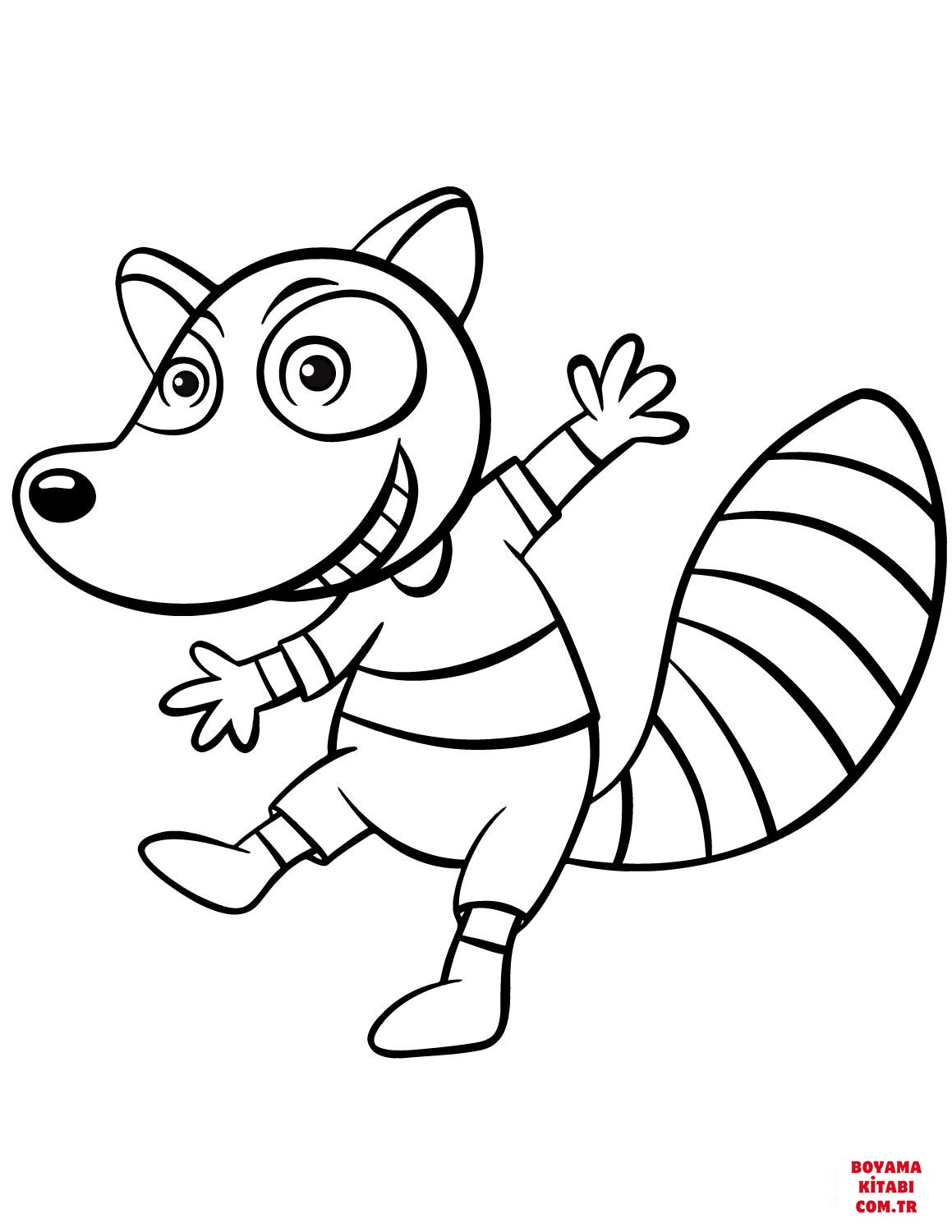 Rakun