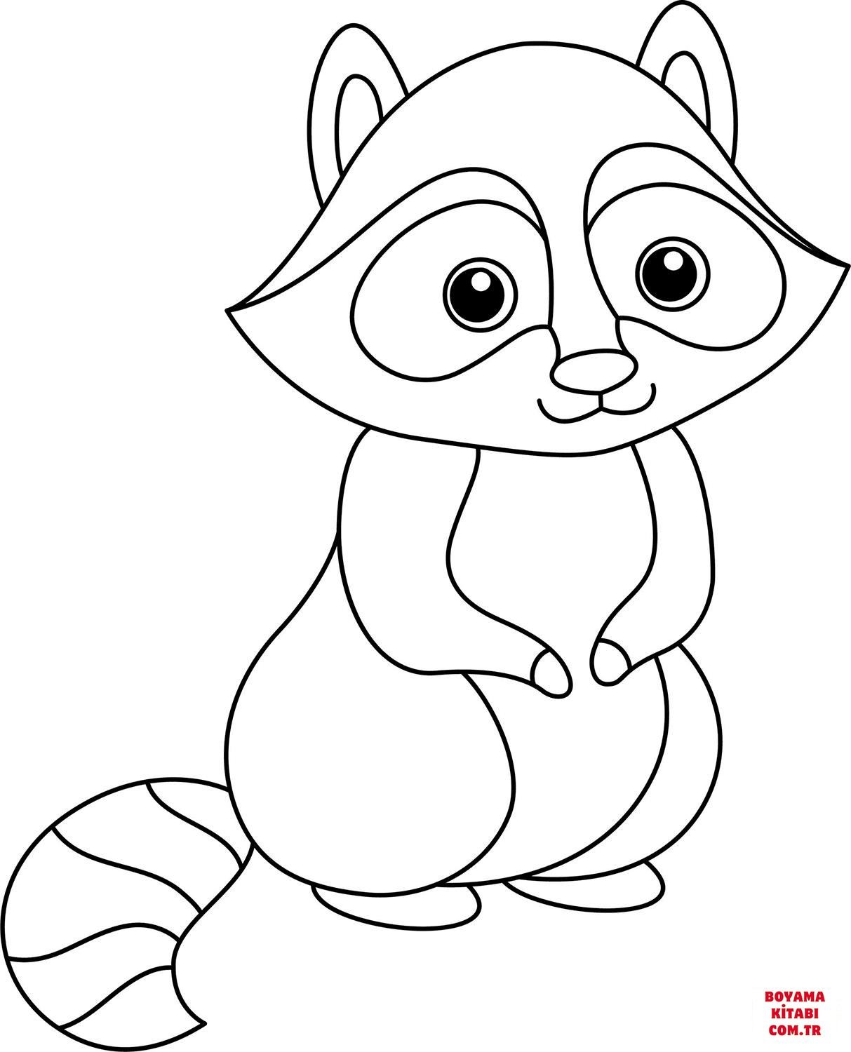 Rakun