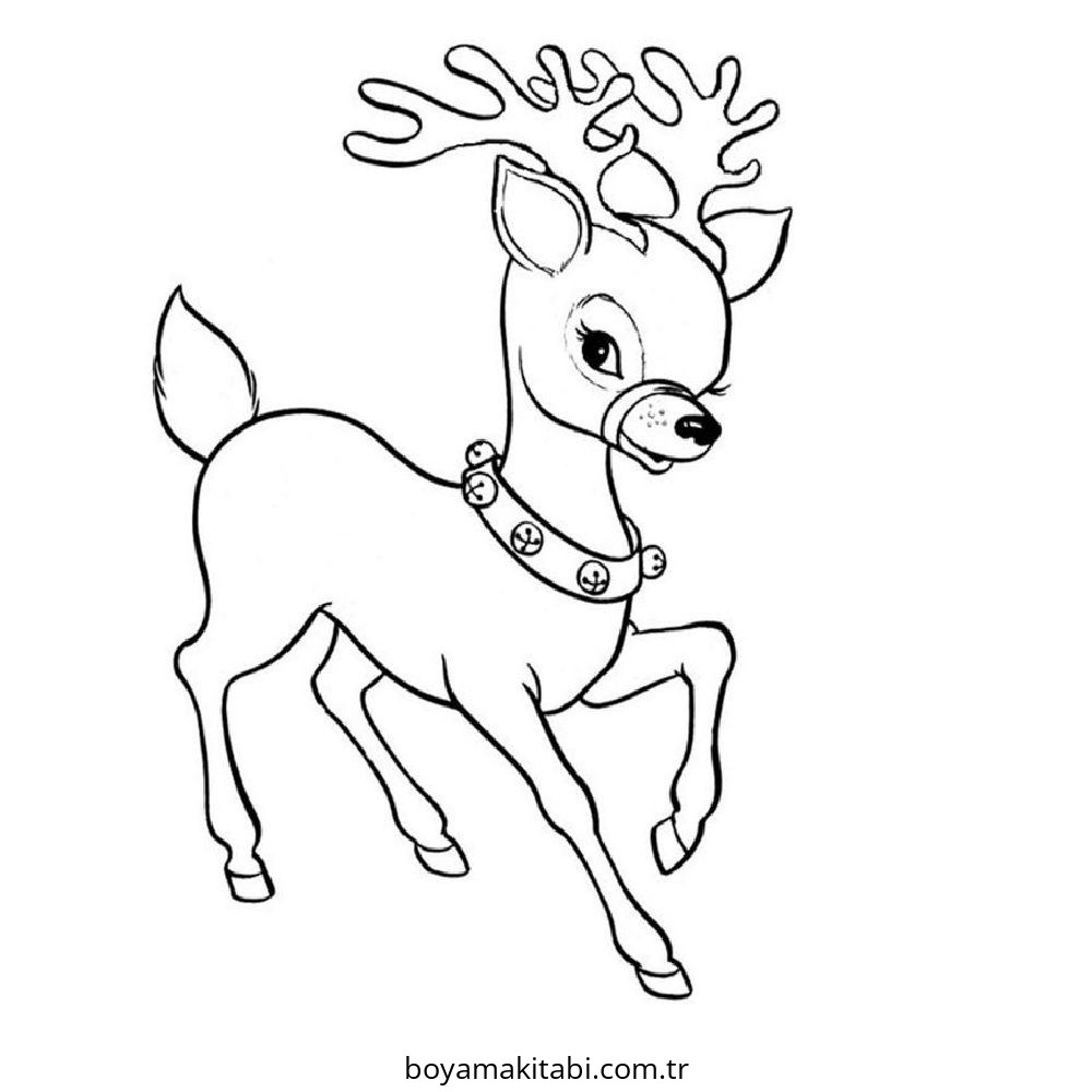Reindeer
