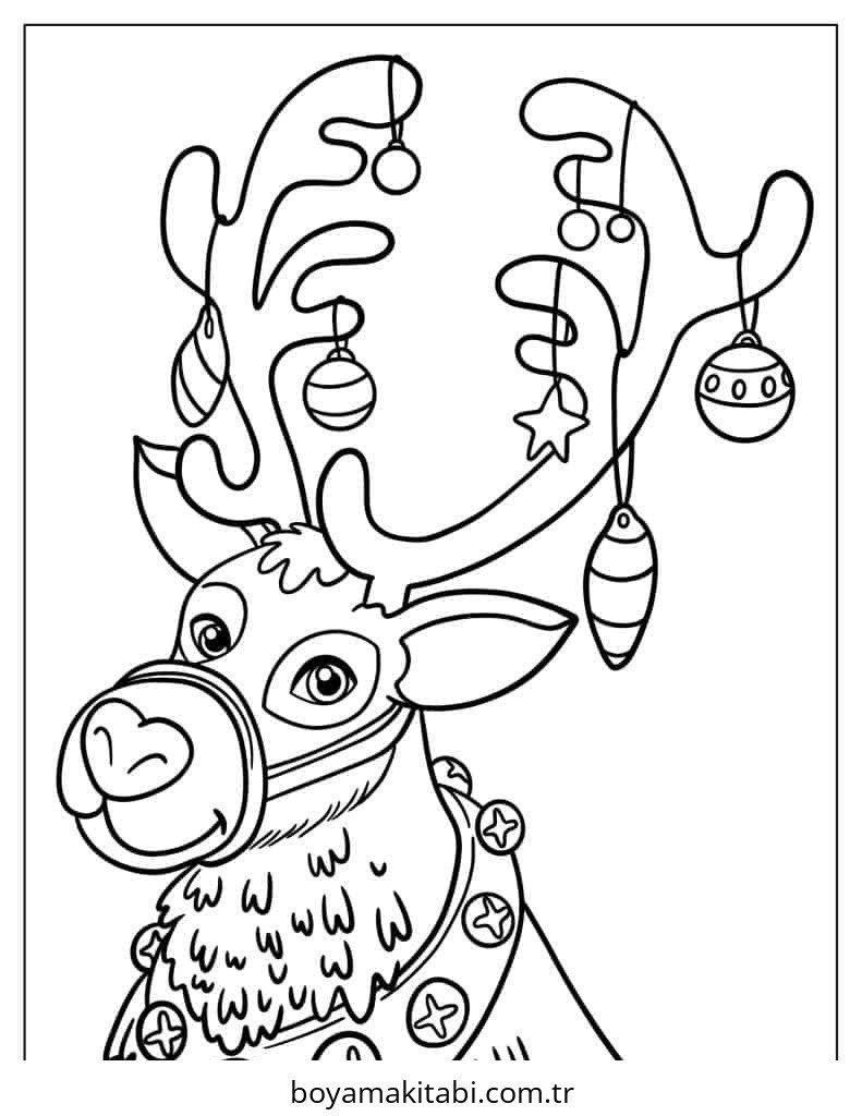 Reindeer