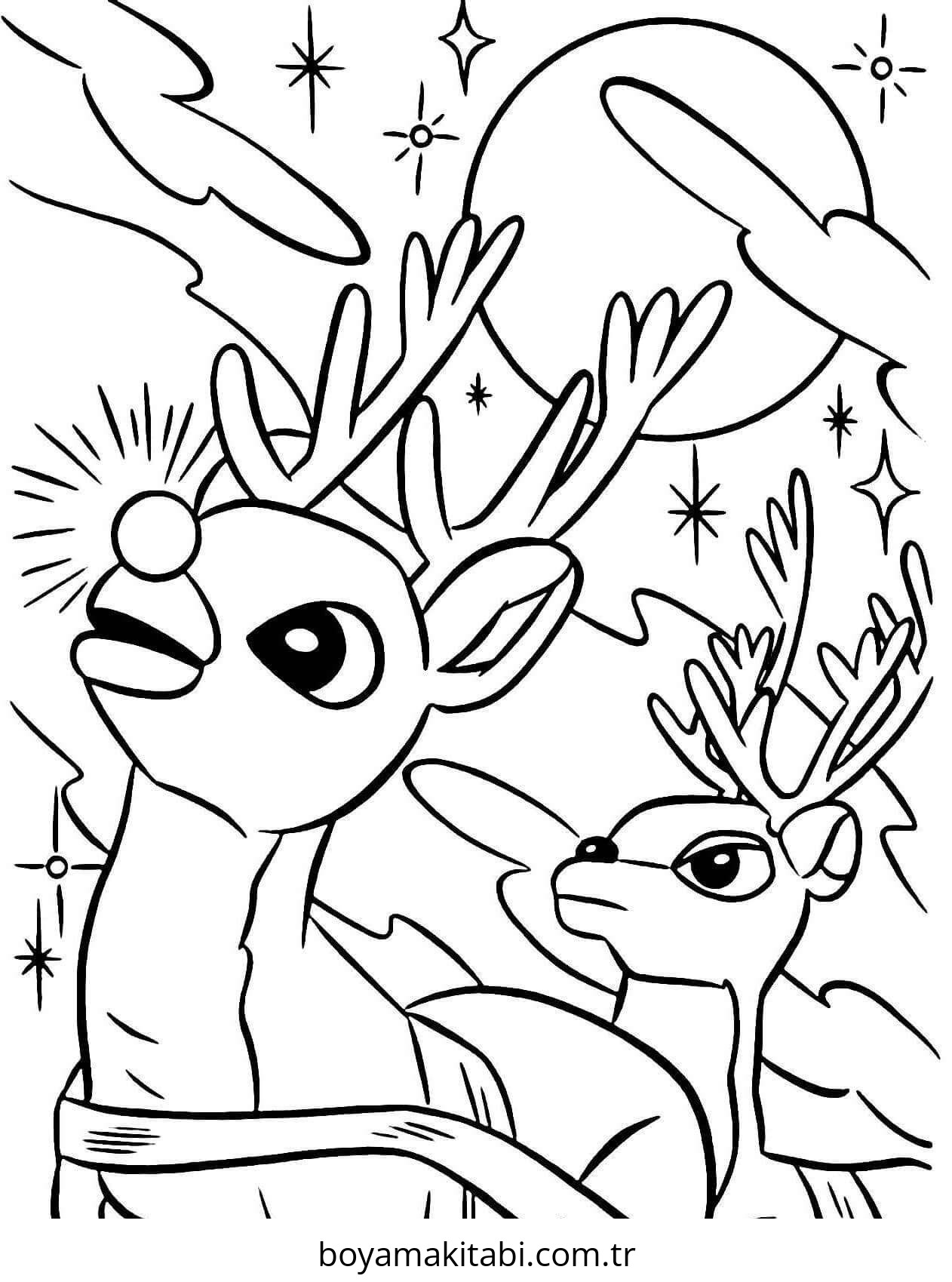 Reindeer