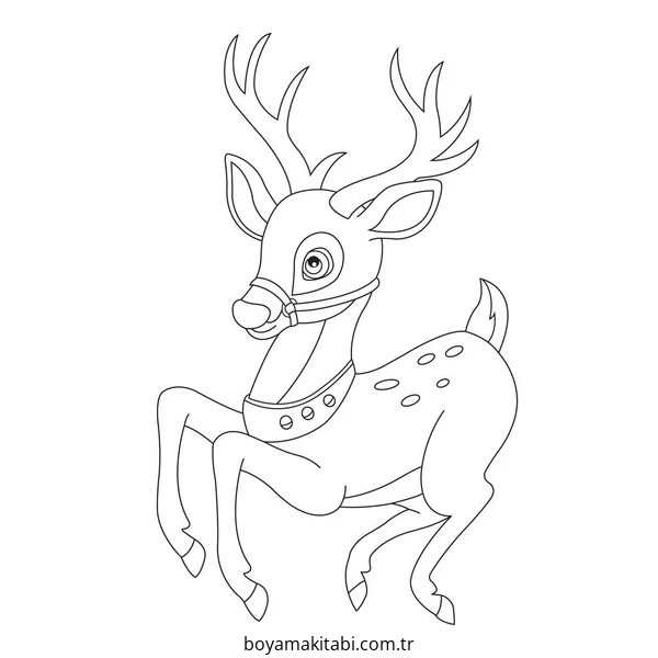 Reindeer
