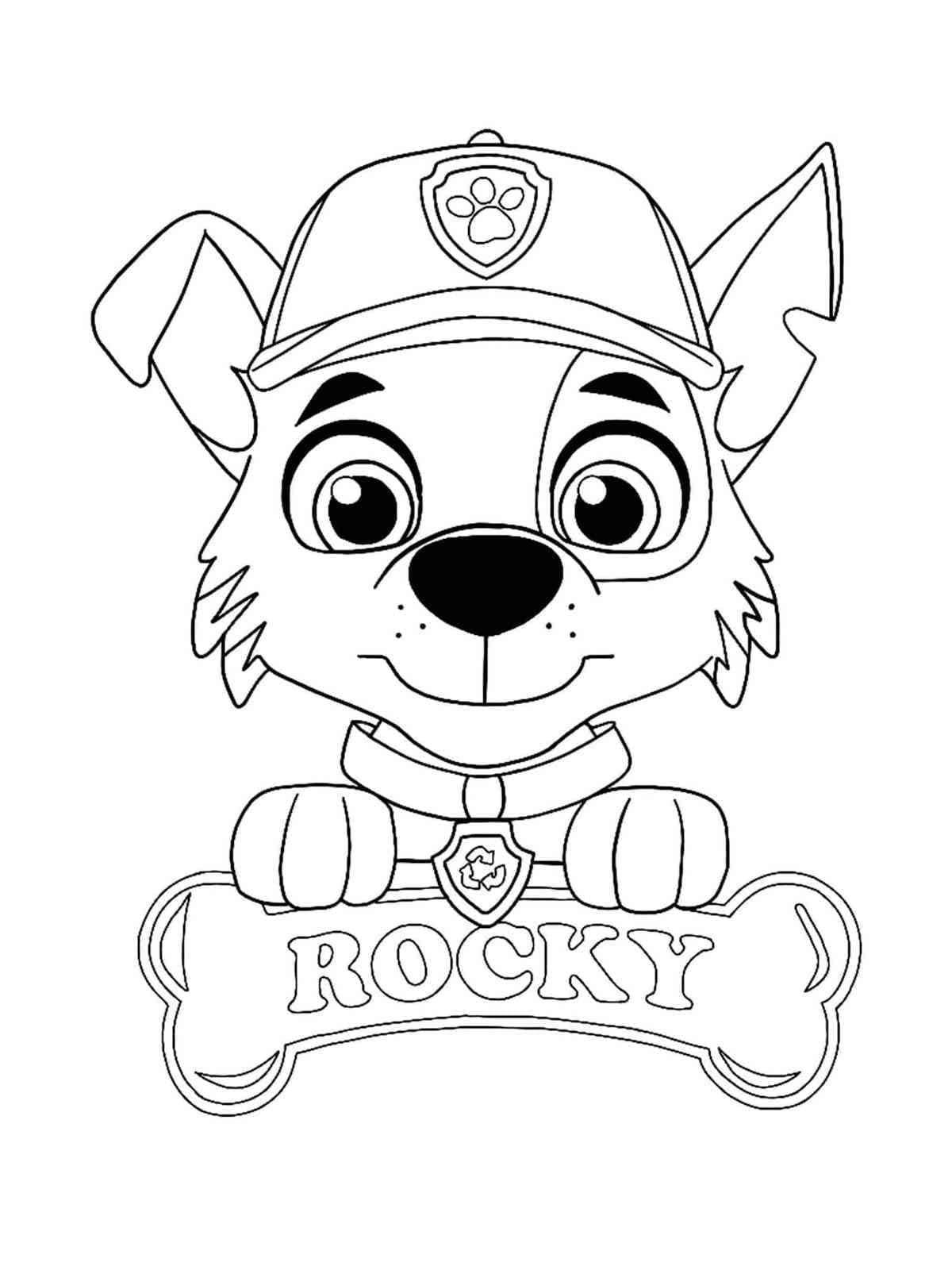 Rocky Paw Patrol
