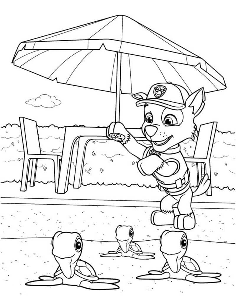Rocky Paw Patrol