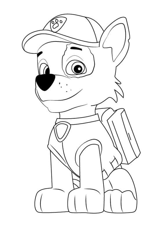 Rocky Paw Patrol