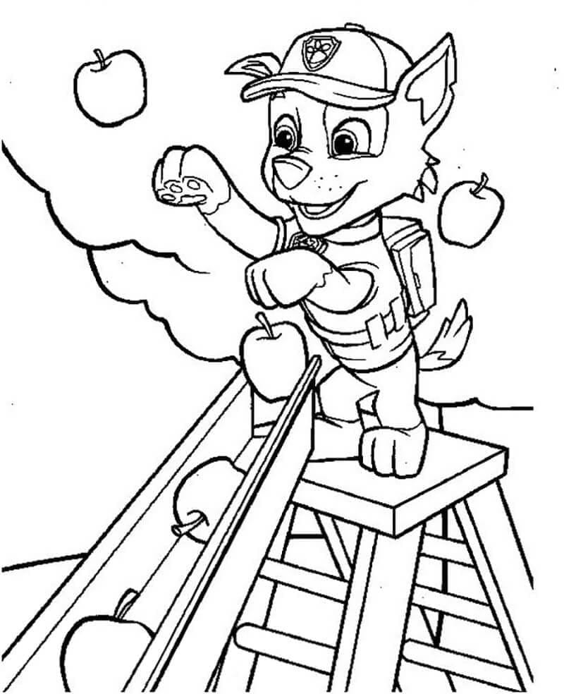Rocky Paw Patrol