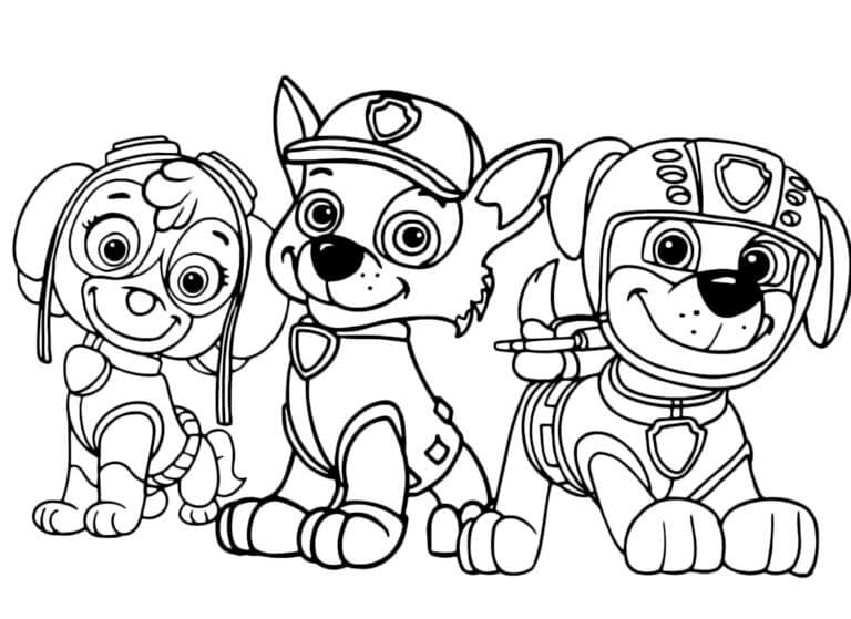 Rocky Paw Patrol