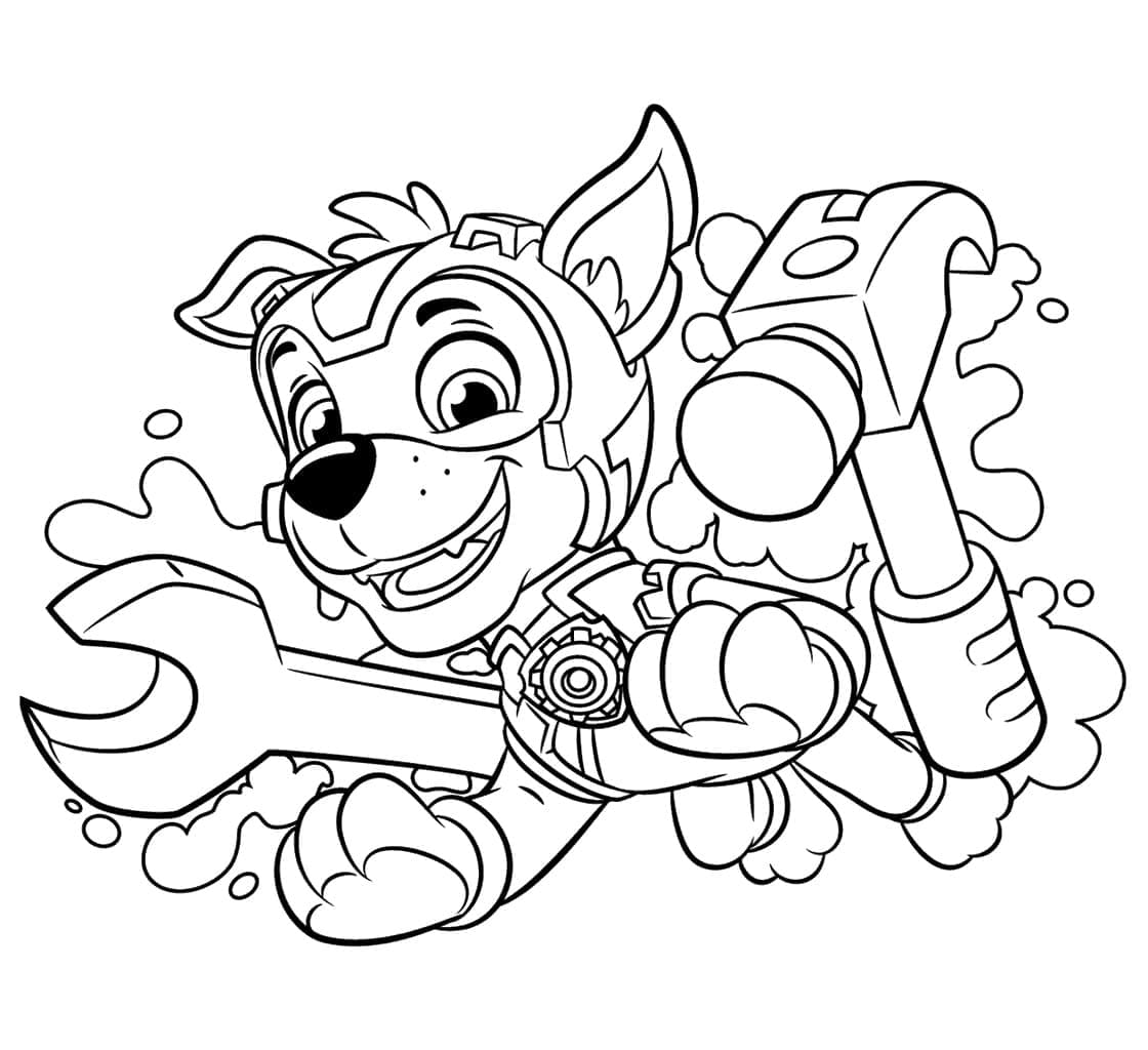 Rocky Paw Patrol