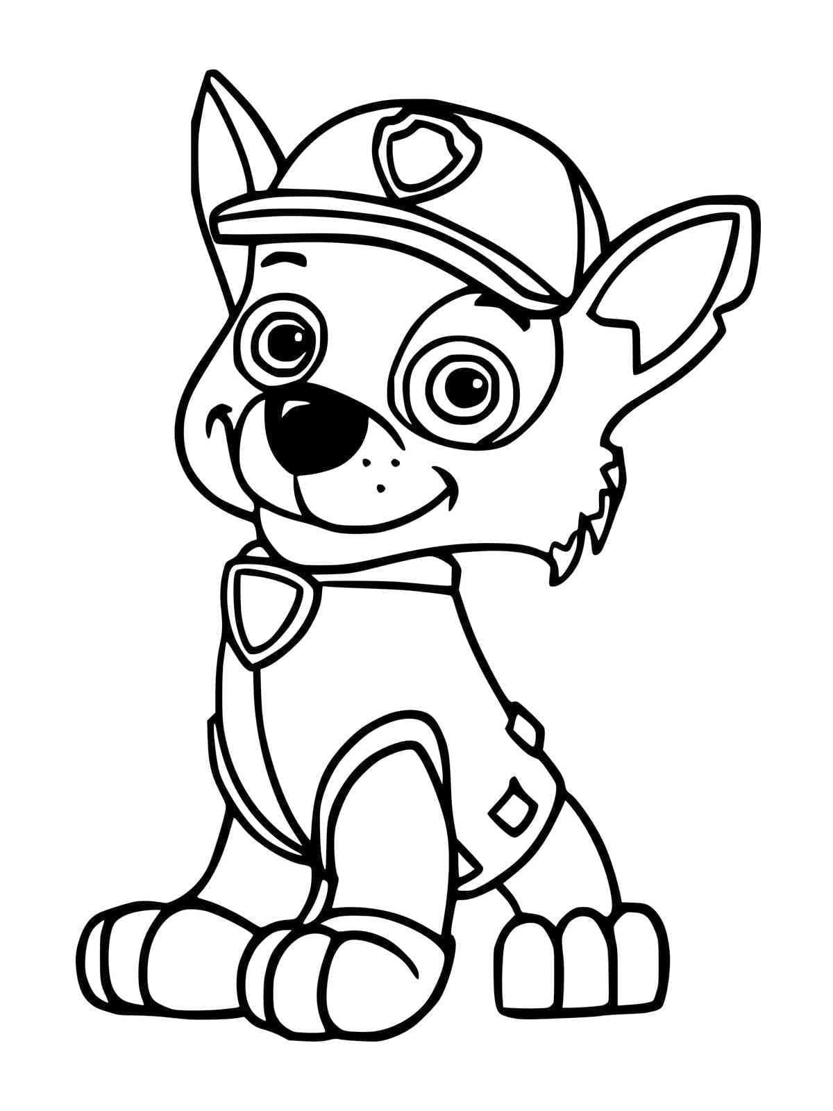 Rocky Paw Patrol