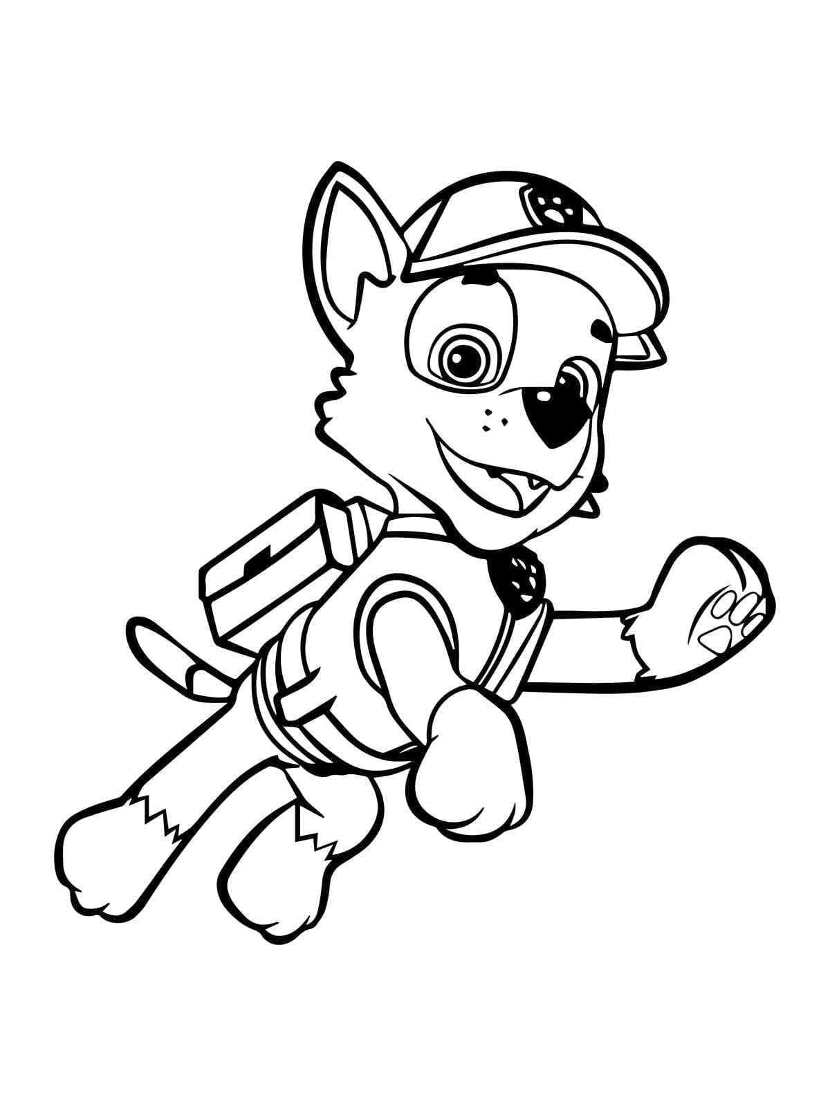 Rocky Paw Patrol
