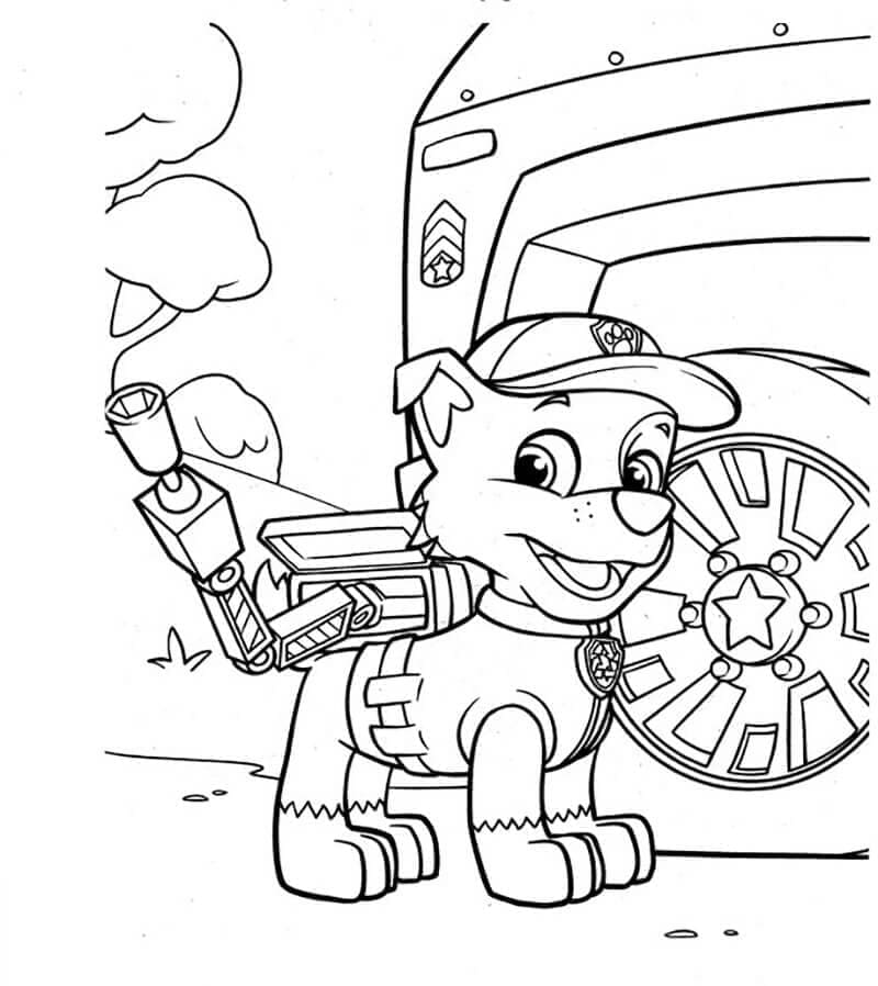 Rocky Paw Patrol