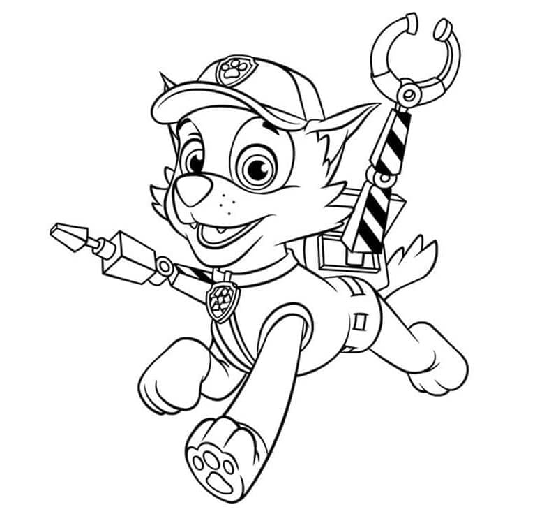 Rocky Paw Patrol